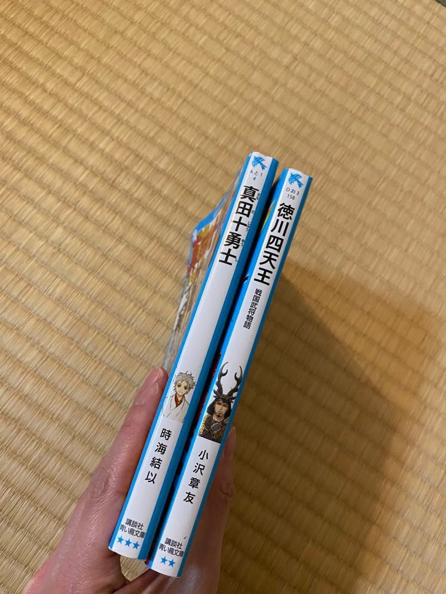 【中古】講談社　青い鳥文庫　徳川四天王　真田十勇士　セット売り