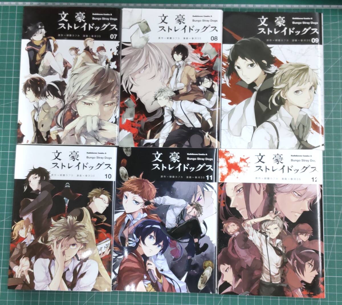 まとめ　計30冊セット『文豪ストレイドッグス 第1巻～第24巻+公式アンソロジー 2冊+デッドアップル 3冊+わん』朝霧カフカ/春河35●3528_画像6