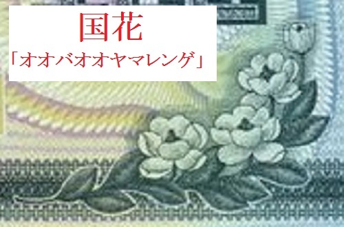 謎解明★北朝鮮★国債★債券★信用券★２００３年★５０００ｗ★利率４％★未使用★蛍光印刷有★匿名配送も可_画像4