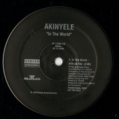 【12INCH】 AKINYELE 「 IN THE WORLD 」 ( STRESS 17206 )の画像3