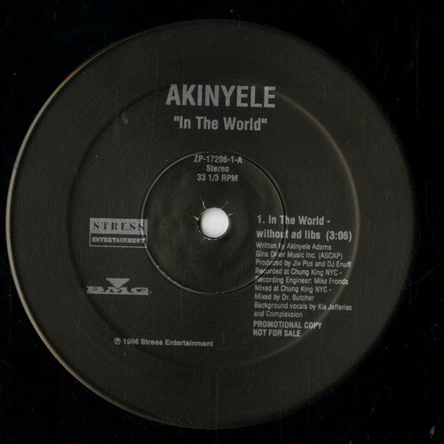 【12INCH】 AKINYELE 「 IN THE WORLD 」 ( STRESS 17206 )の画像2
