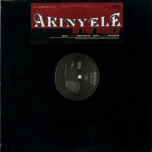 【12INCH】 AKINYELE 「 IN THE WORLD 」 ( STRESS 17206 )の画像1