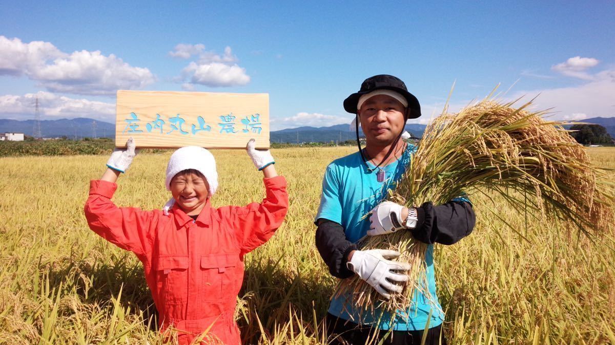 本当に美味い!山形はえぬき新米！令和5年産庄内丸山農場 検査1等玄米30kgか白米27kg精米無料_画像1