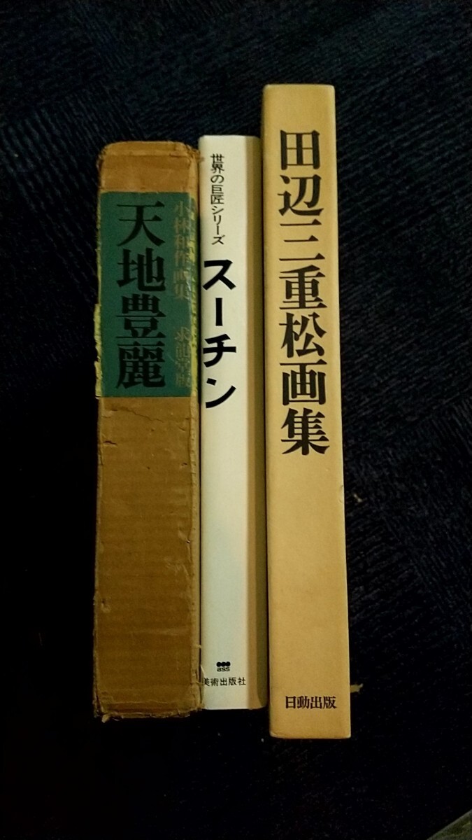 [中古本][Used Books]画集 図録 小林和作(天地豊麗)田辺三重松 スーチン 佐伯祐三 黒田清輝 前田寛治 中村研一 7冊セット_画像2