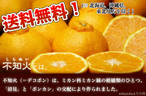 デコポン 不知火 しらぬい 残りわずか！(デコポン同品種) 訳あり 9kg 和歌山県産 送料無料！(北海道、沖縄県、東北地方除く)_画像2