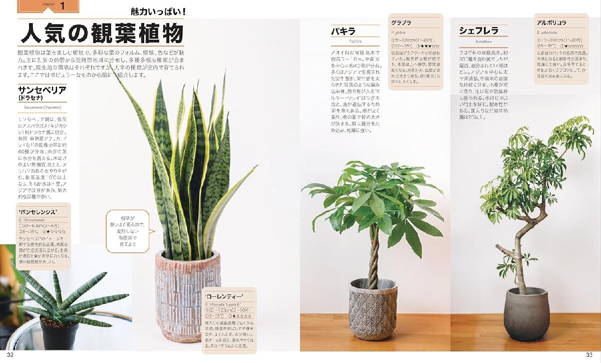 NHK趣味の園芸 観葉植物 パーフェクトブック (生活実用シリーズ)の画像4