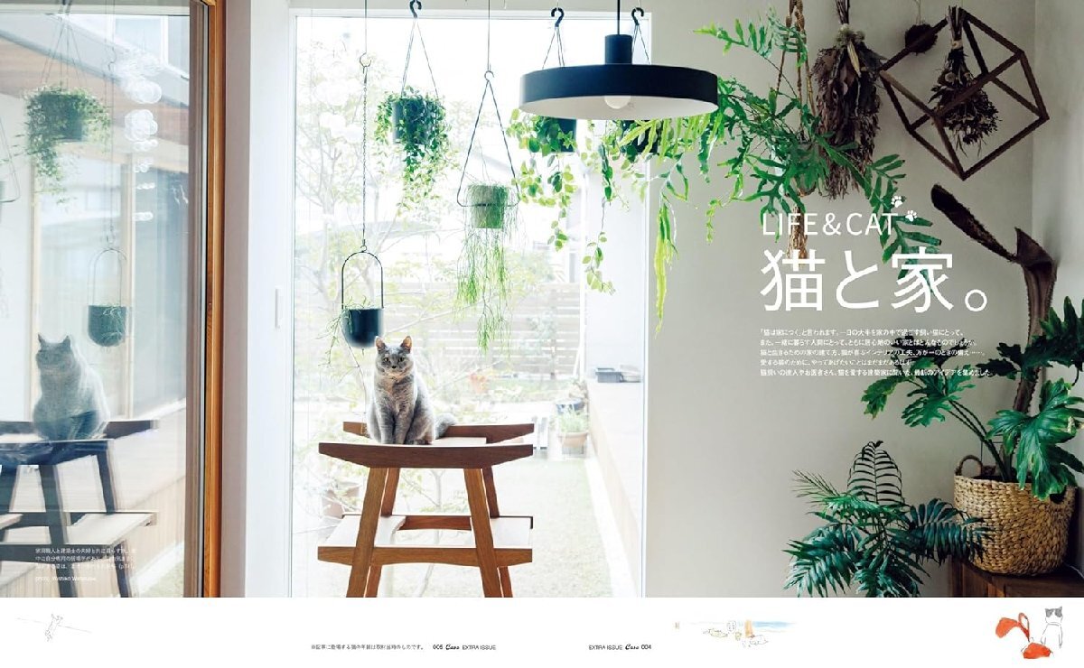 Casa BRUTUS特別編集 猫と家。 (MAGAZINE HOUSE MOOK extra issue)_画像2