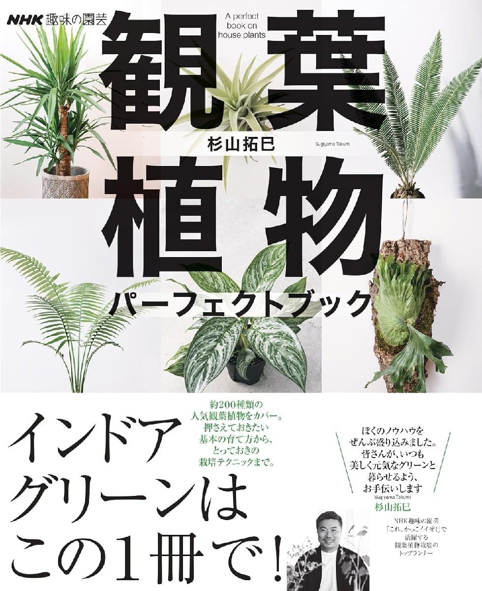 NHK趣味の園芸 観葉植物 パーフェクトブック (生活実用シリーズ)の画像1