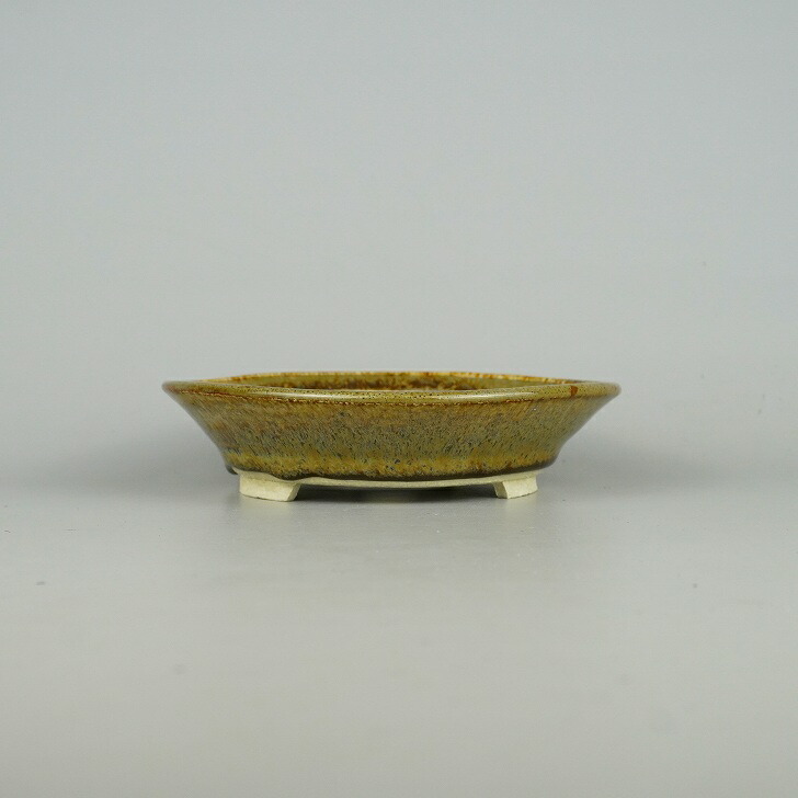 [ used ] bonsai pot . flat small size long side approximately 16cm circle pot glaze reality goods used pot 