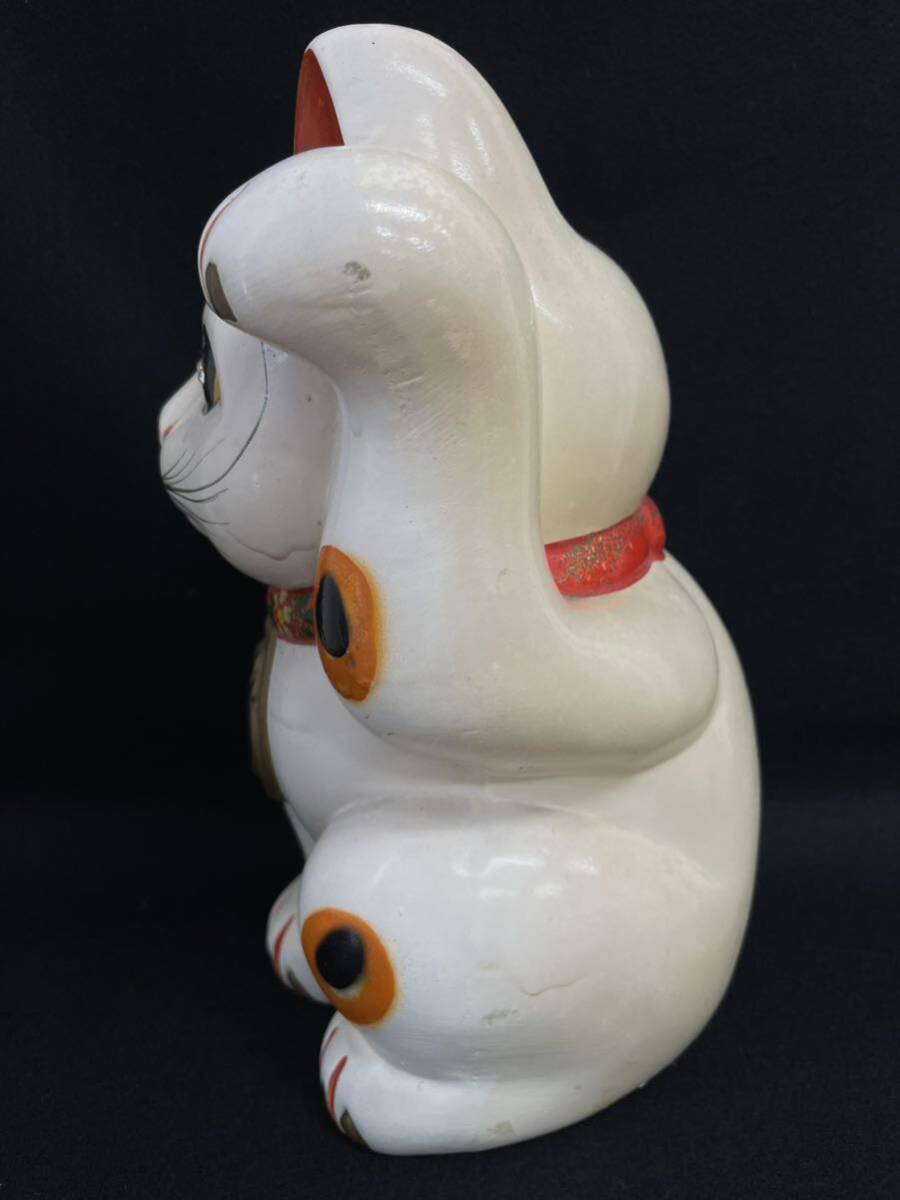 Y-1134[ search : maneki-neko savings box ornament .. thing secondhand goods long-term keeping goods 25cm×16cm]