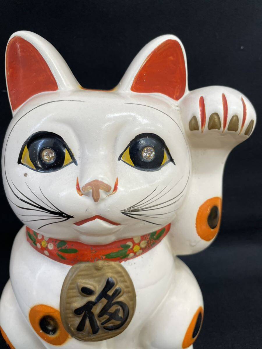 Y-1134[ search : maneki-neko savings box ornament .. thing secondhand goods long-term keeping goods 25cm×16cm]