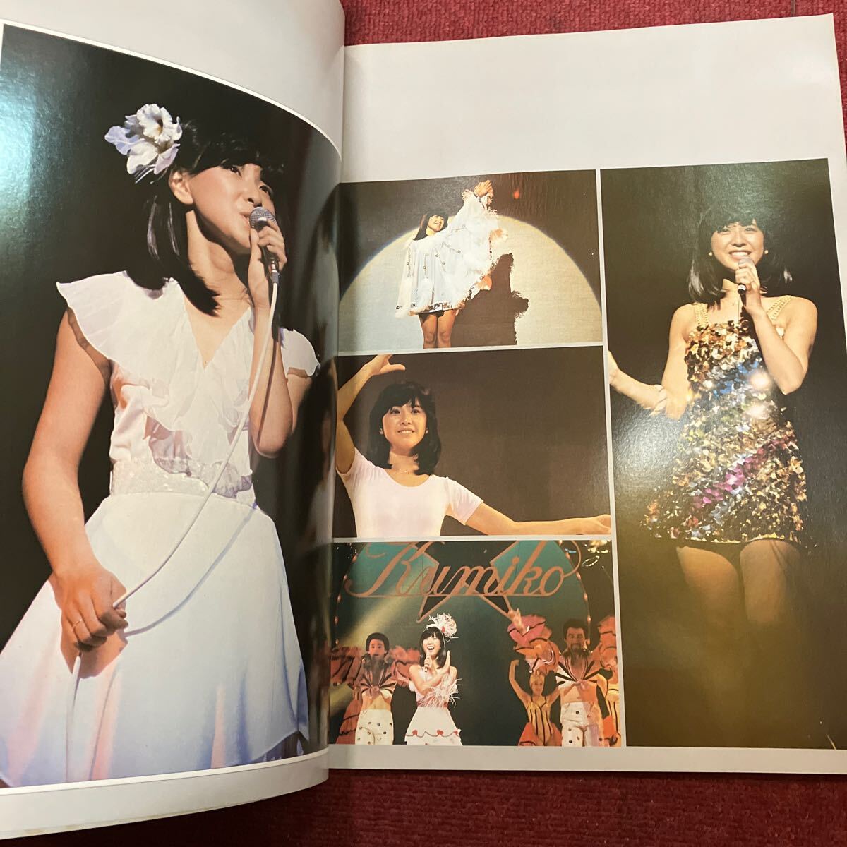 My Pretty Princess 大場久美子 サマー・コンサート 1979/ツアーパンフレット　ミニスカ水着_画像3