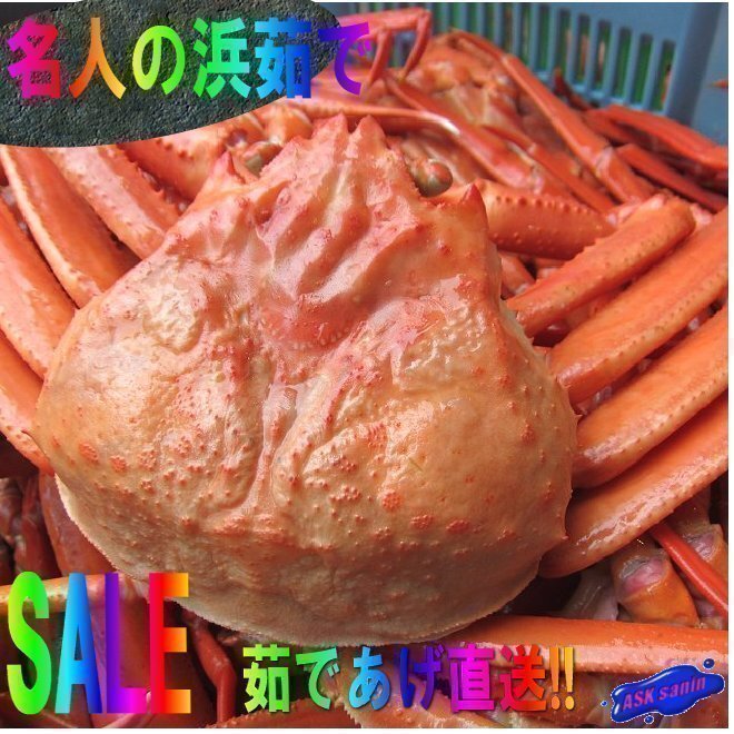 [Kamaage Direct Delivere] "Wourened Beach Crab/Special Selected 500G" (красный Zowai Crab)