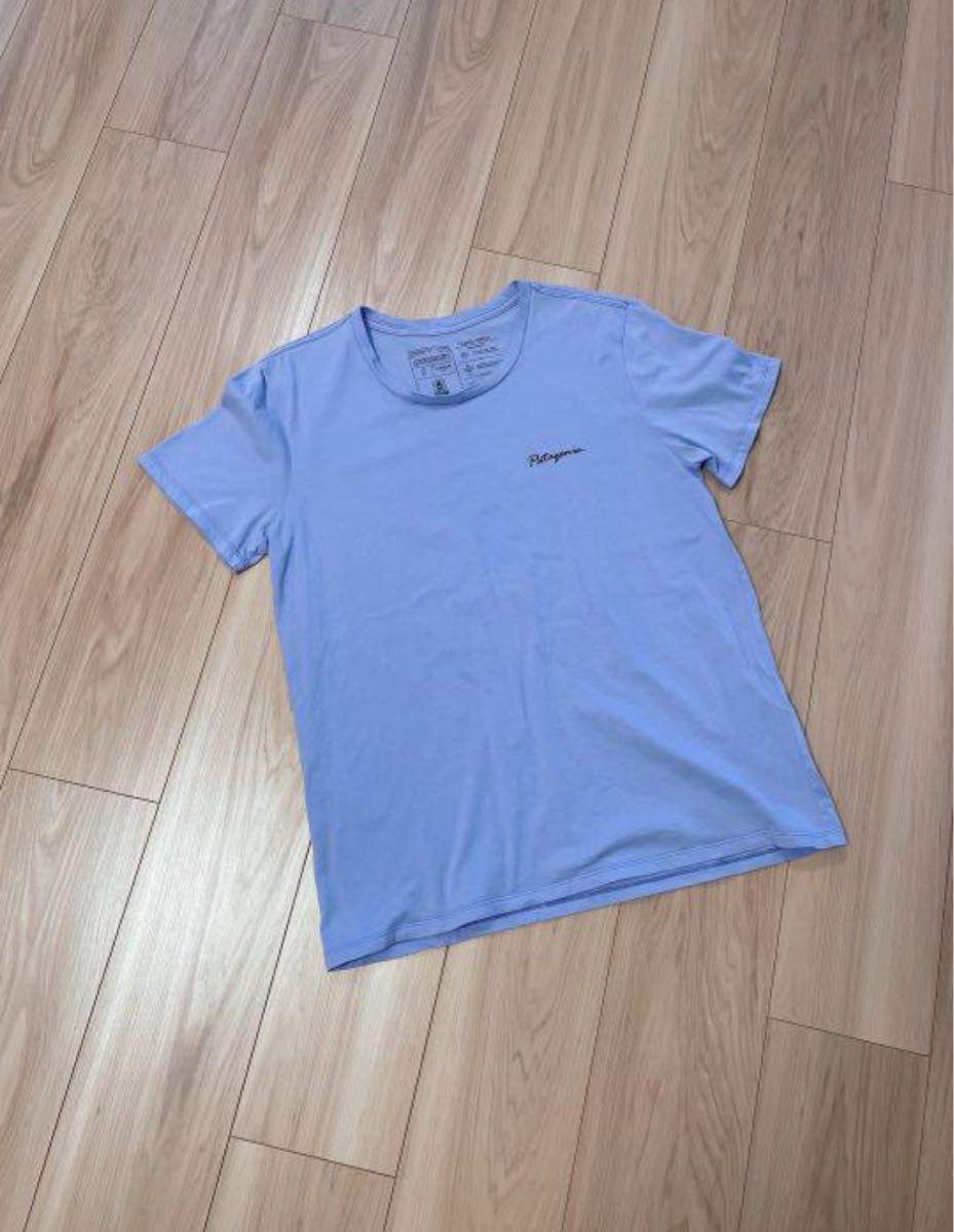 Patagonia Tシャツ