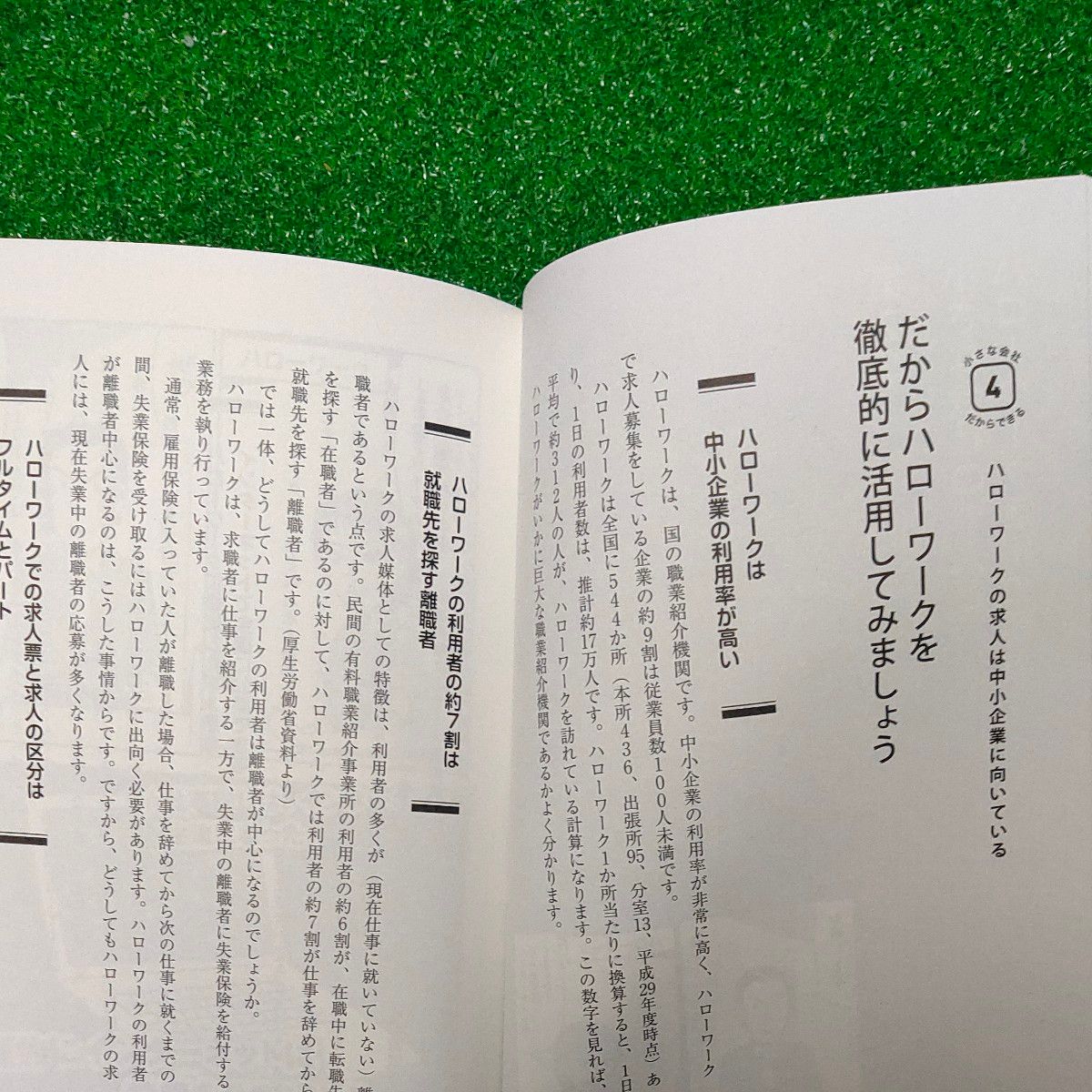 小さな会社だからできる求人大作戦！ 糟谷芳孝／著