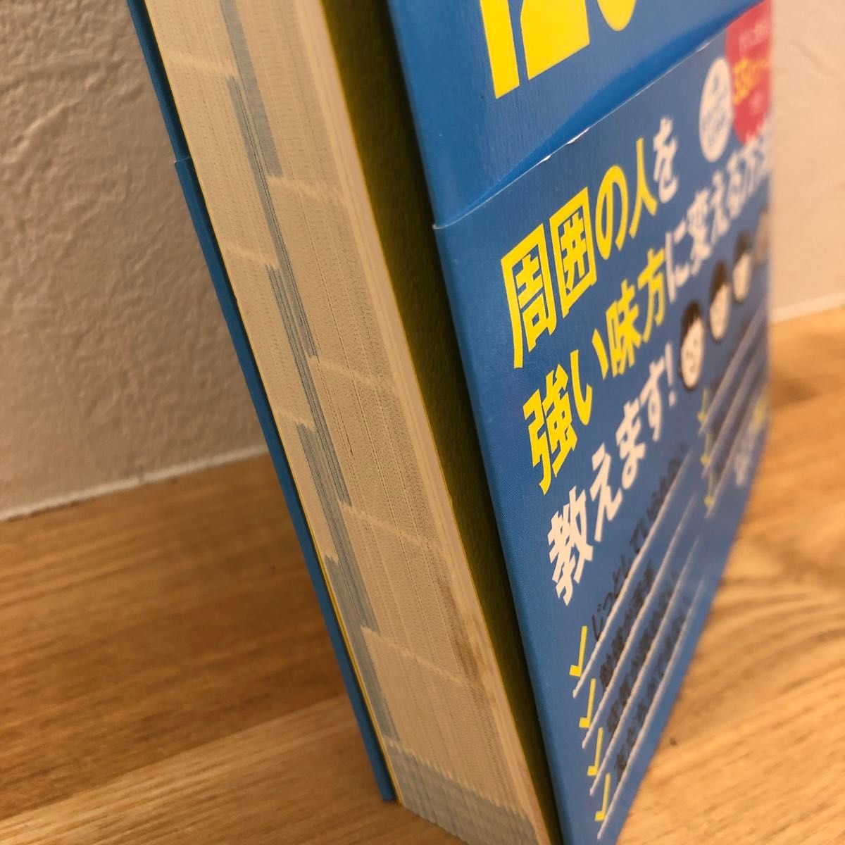 発達障害＆グレーゾーンの３兄妹を育てる母のどんな子もぐんぐん伸びる１２０の子育て法 大場美鈴