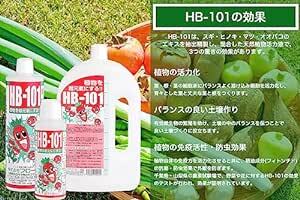 フローラ 植物活力剤 HB-101 緩効性 アンプル 10本入り 30ml(原液6mlサンプル付き_画像3