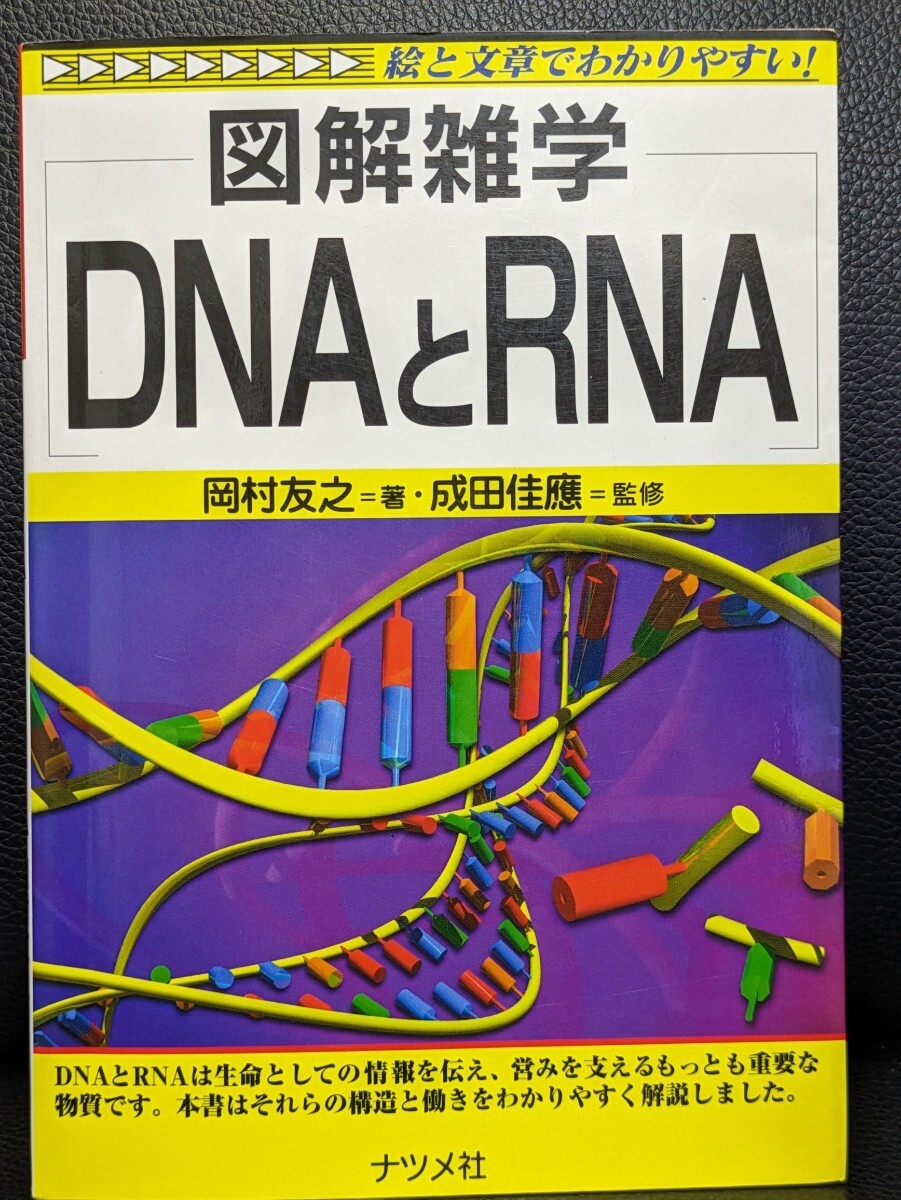図解雑学 DNAとRNA　岡村友之／著　成田佳應／監修　ナツメ社　遺伝子情報 タンパク質の設計図 構造 働き 発見の経緯 生命の営み 作り出す