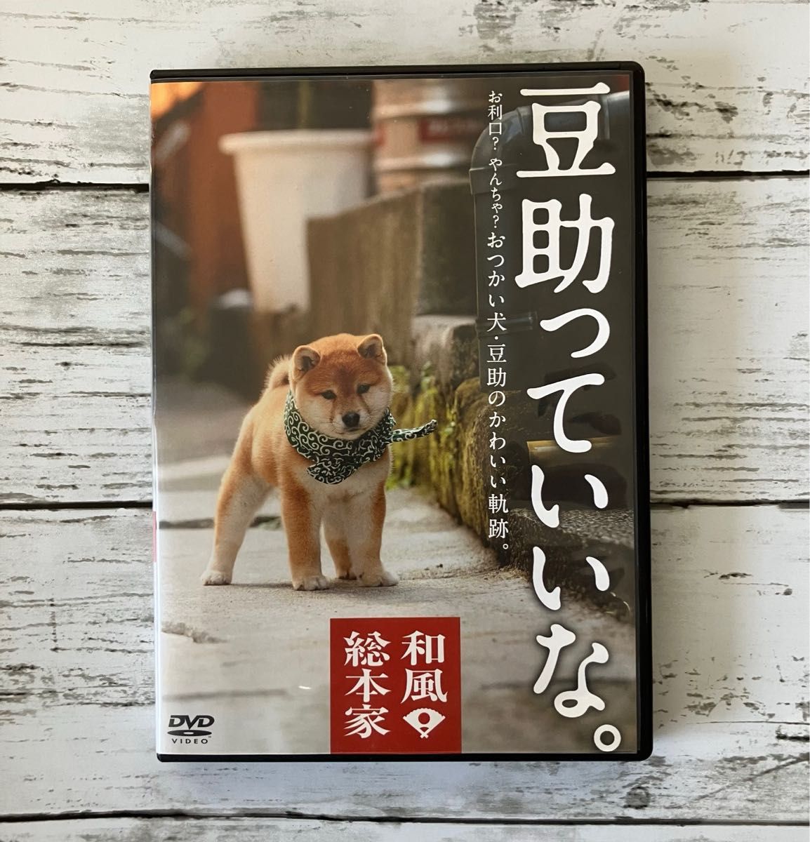 和風総本家 豆助っていいな。おつかい犬・豆助のかわいい奇跡。DVD ワンちゃん 犬好き 癒し