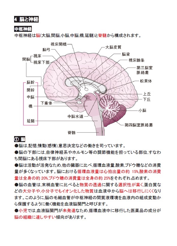 登録販売者(全科目収録)　2024年　令和6年　受験用_画像6