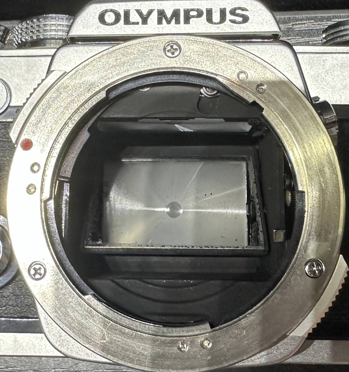 OLYMPUS OM-1 / OM-SYSTEM F.ZUIKO AUTO-S 1:1.8 F=50mm オリンパス フィルムカメラ #2134_画像9