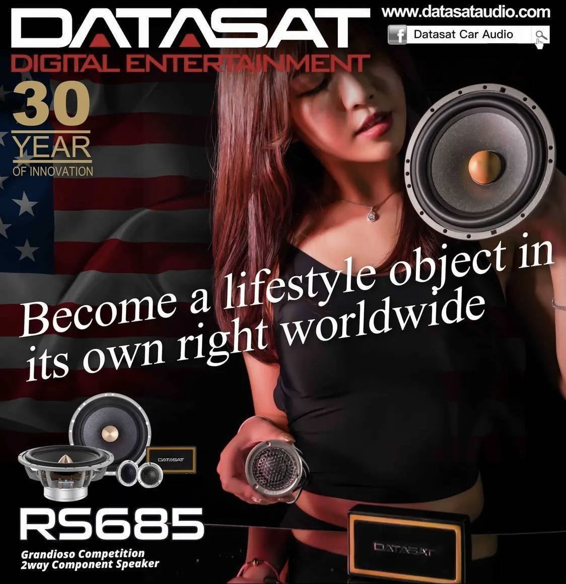 【保証付】【超高音質】DATASAT RS685 ハンドメイドハイエンド2wayスピーカーセット 2wayコンポーネント(17cm ウーファー ツイーター)の画像9