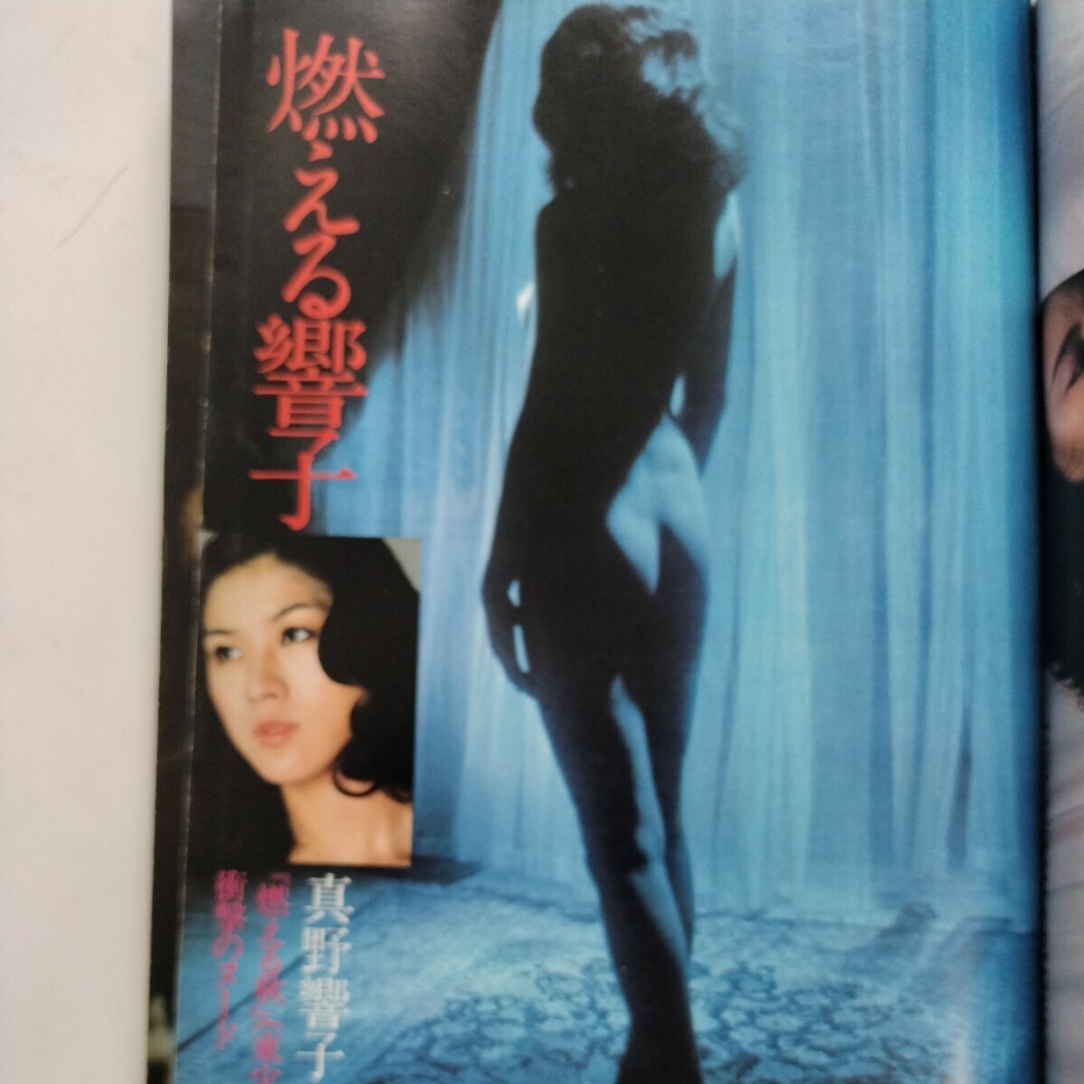 平凡パンチ 昭和54年1月1日号 真野響子 泉じゅん 池上季実子 浅野ゆう子 樹れい子の画像1