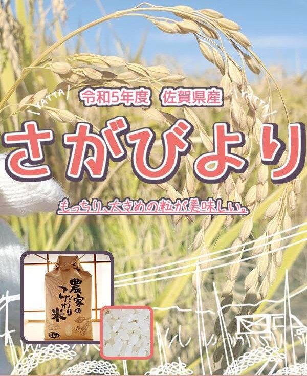 さがびより 令和５年佐賀県産 15㎏ 農家直送 お米