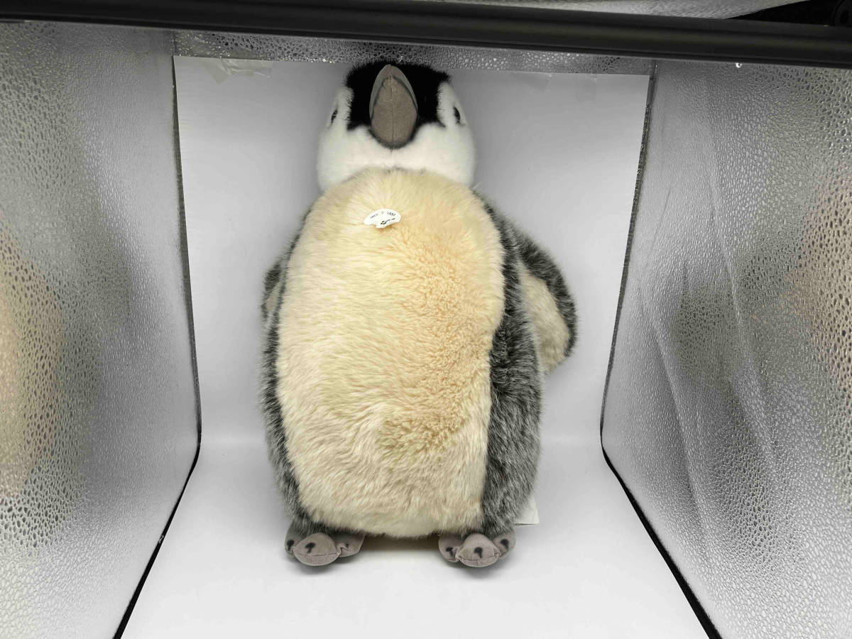 Steiff シュタイフ ぬいぐるみ ペンギン 504976 Dis Baby Pinguin 37 全長約37cm