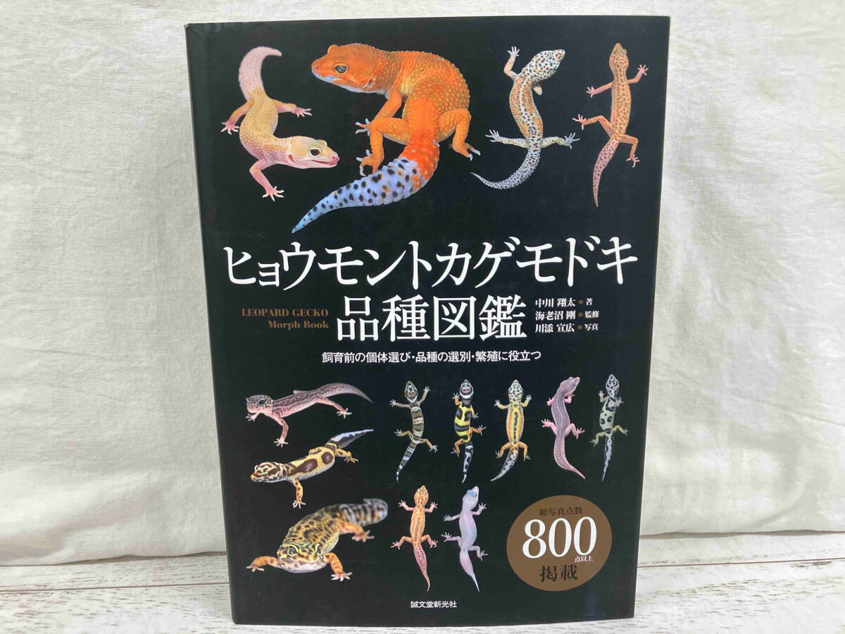  леопард mon ящерица mo при товар вид иллюстрированная книга средний река sho futoshi 