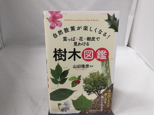 自然散策が楽しくなる!葉っぱ・花・樹皮で見わける樹木図鑑 山田隆彦_画像1