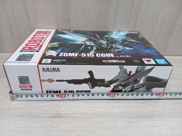 ROBOT魂 ＜SIDE MS＞ ZGMF-515 シグー ver. A.N.I.M.E. 魂ウェブ商店限定 機動戦士ガンダムSEED/ROBOT魂シリーズ_画像5