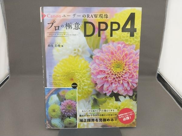 CanonユーザーのRAW現像 プロの極意DPP4 桐生彩希_画像1