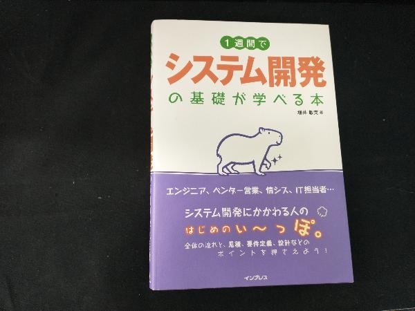 1週間でシステム開発の基礎が学べる本 増井敏克_画像1