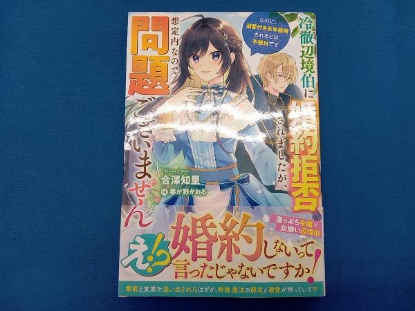 冷徹辺境伯に婚約拒否されましたが、想定内なので問題ございません 合澤知里_画像1