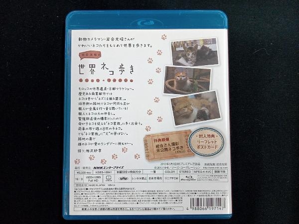 岩合光昭の世界ネコ歩き モロッコ・マラケシュ(Blu-ray Disc)_画像2