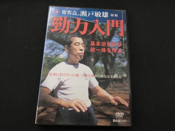 DVD 勁力入門 旅行・レジャー・スポーツの画像1
