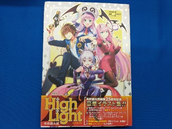 矢吹健太朗画業25周年記念イラスト集 Digital Art Collection High Light 矢吹健太朗の画像1