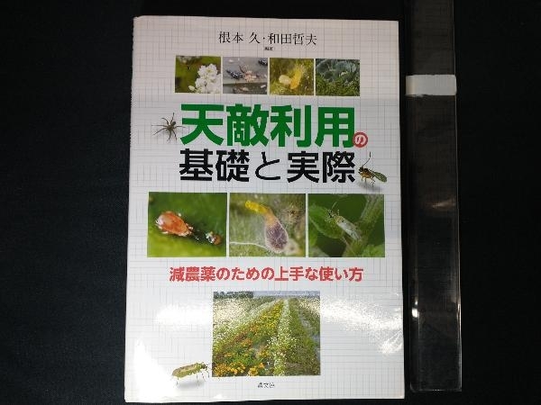 天敵利用の基礎と実際 根本久_画像1