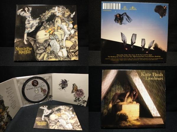 ケイト・ブッシュ CD 【輸入盤】Remastered Part 1(7CD BOX)_画像7