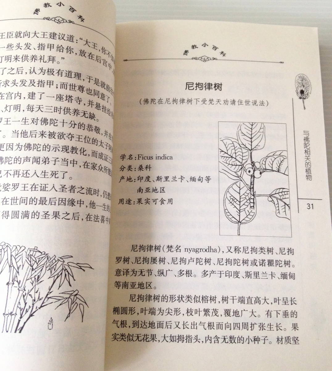 ヤフオク 仏教小百科28 仏教的植物 中国社会科学出版社 中
