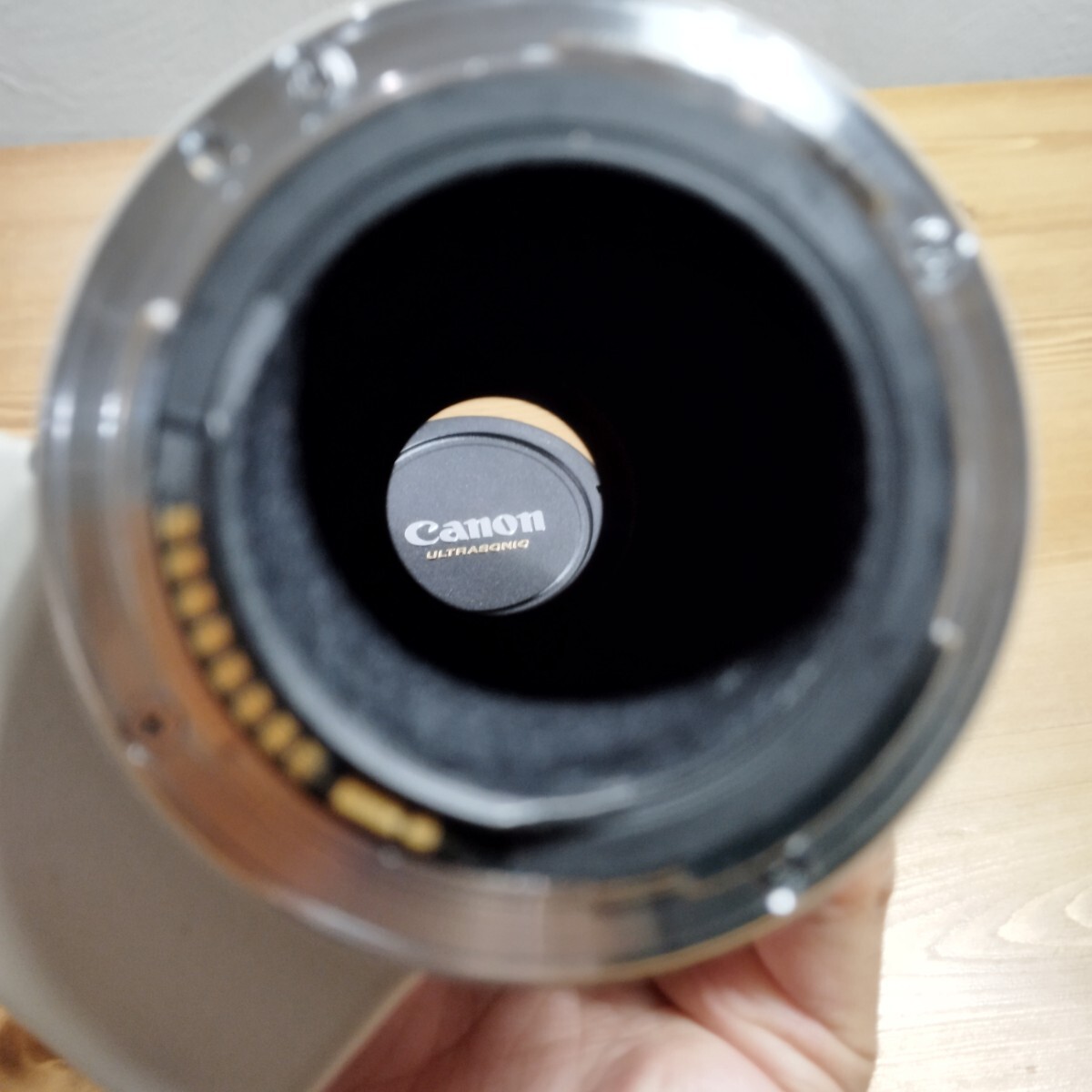 Canon EF 300mm 1:4 L キヤノン レンズ_画像8