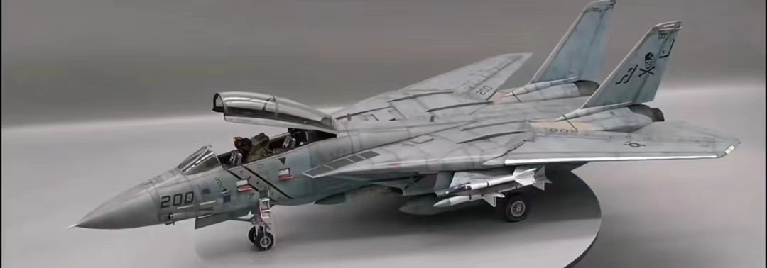タミヤ 1/48 アメリカ海軍 F-14A 組立塗装済完成品_画像1