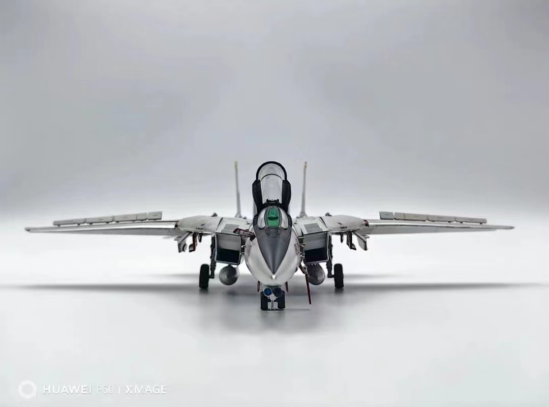 1/72 アメリカ海軍 F-14D トムキャット 塗装済完成品_画像8