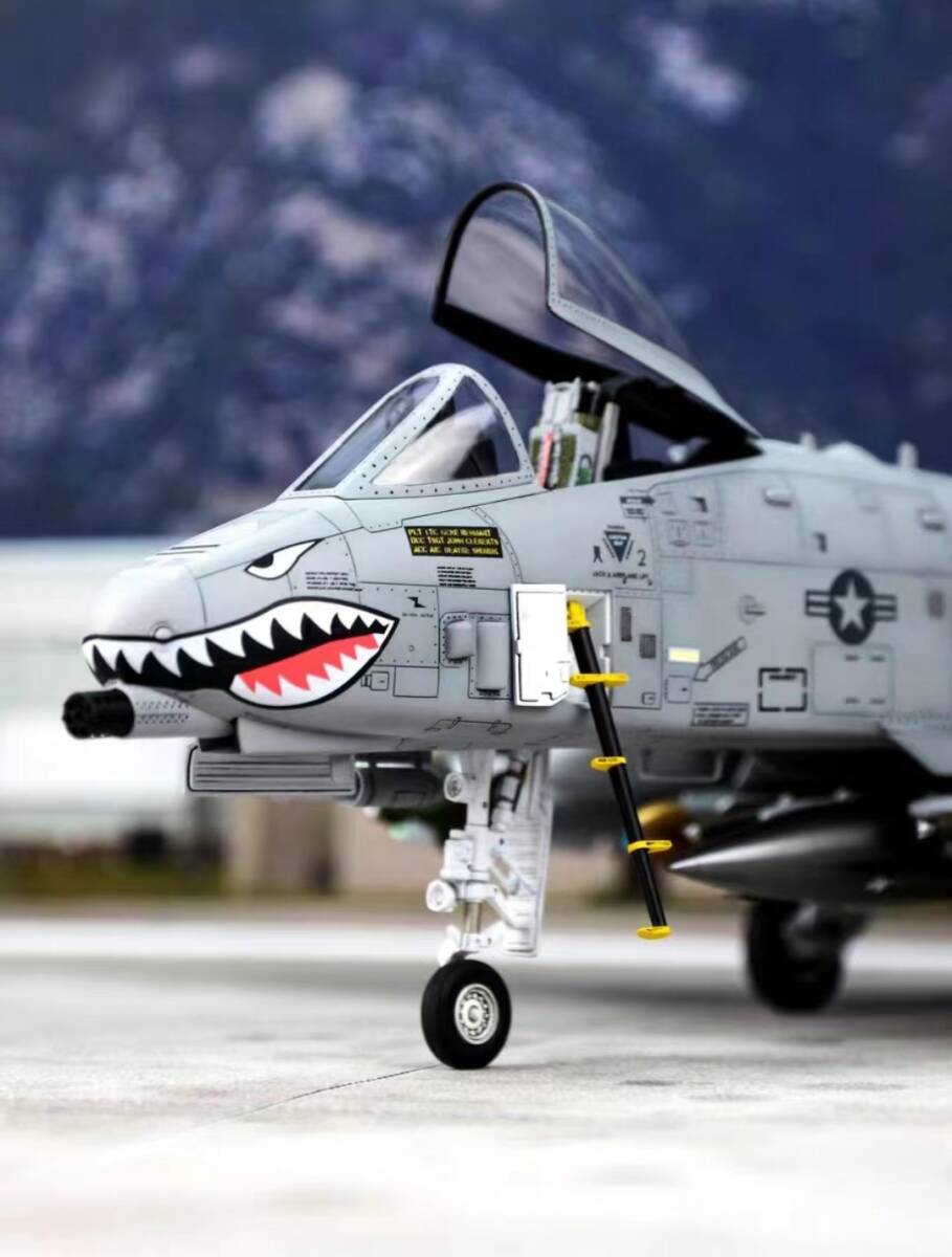 1/48 アメリカ A-10 サンダーボルトⅡ 組立塗装済完成品 プラモデル 1/48 アメリカ A-10 サンダーボルトⅡ 組立塗装済完成品 プラモデル