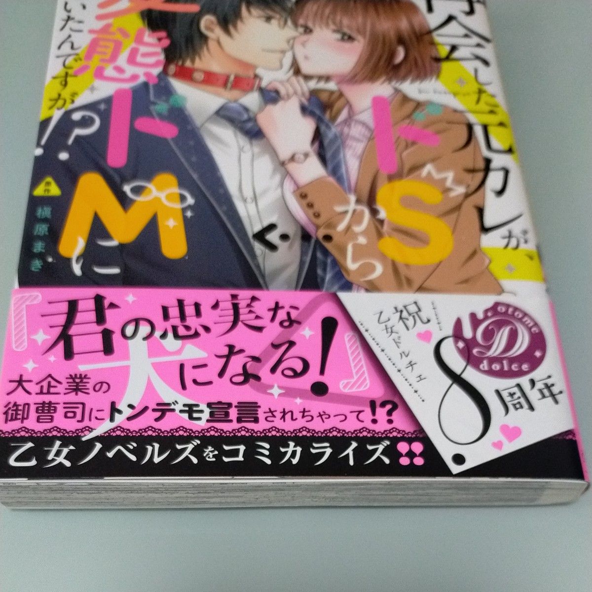 再会した元カレが、ドＳから変態ドＭになっていたんですが！？ （ヴァニラ文庫ミエル　マ２－０３） 槇原まき／著