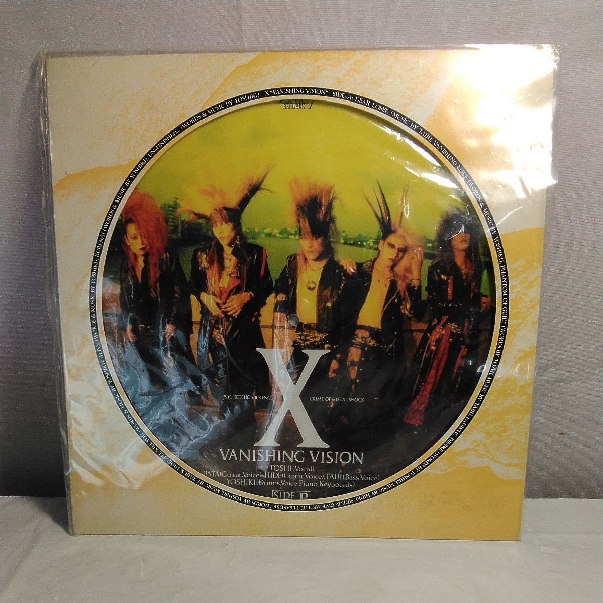 XJAPAN VANISHING VISION 　レコード　EXL002_画像1