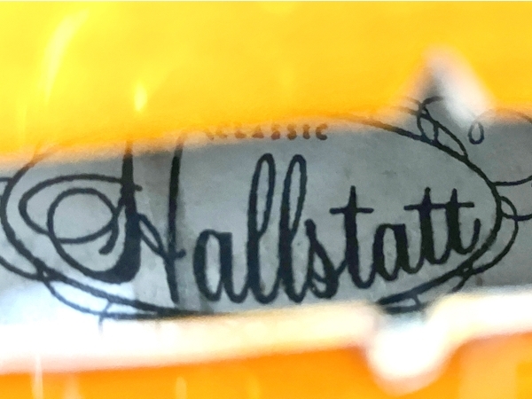 Hallstatt CV-210E ヴァイオリン ソフトケース付き ハルシュタット サイレント エレキ ヴァイオリン 弦楽器 中古 Y8658443の画像3