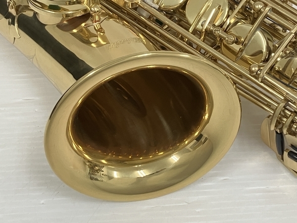 Aisiweier アルトサックス 型番不明 ケース付き 管楽器 中古 O8500604_画像8