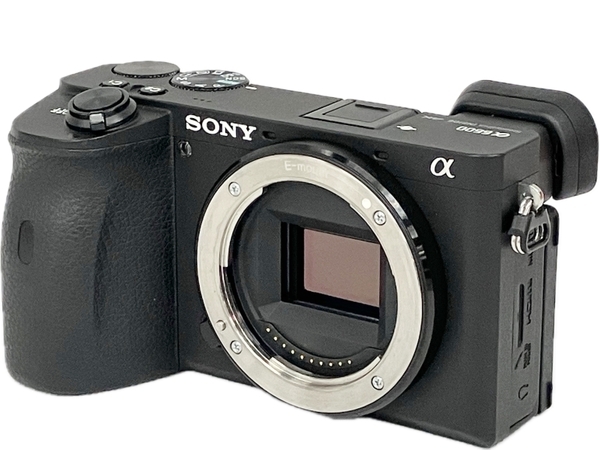 SONY α6600 ILCE-6600 ボディ ミラーレス 一眼レフ カメラ 4K 2019年 撮影 趣味 ソニー 中古 S8608529